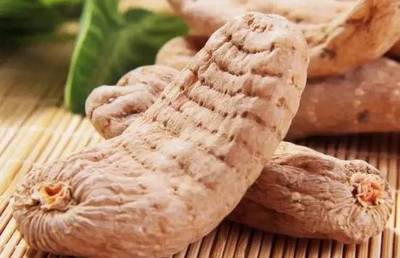 天麻烘焙技術,烘焙天麻的正確方法