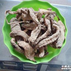 秦嶺下山純正特級野生干天麻.