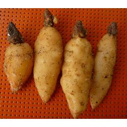 家居配套批發(fā) 家居配套供應(yīng) 家居配套廠家 