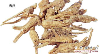 用復(fù)方天麻液治頭痛昏迷患者50余人全部有效