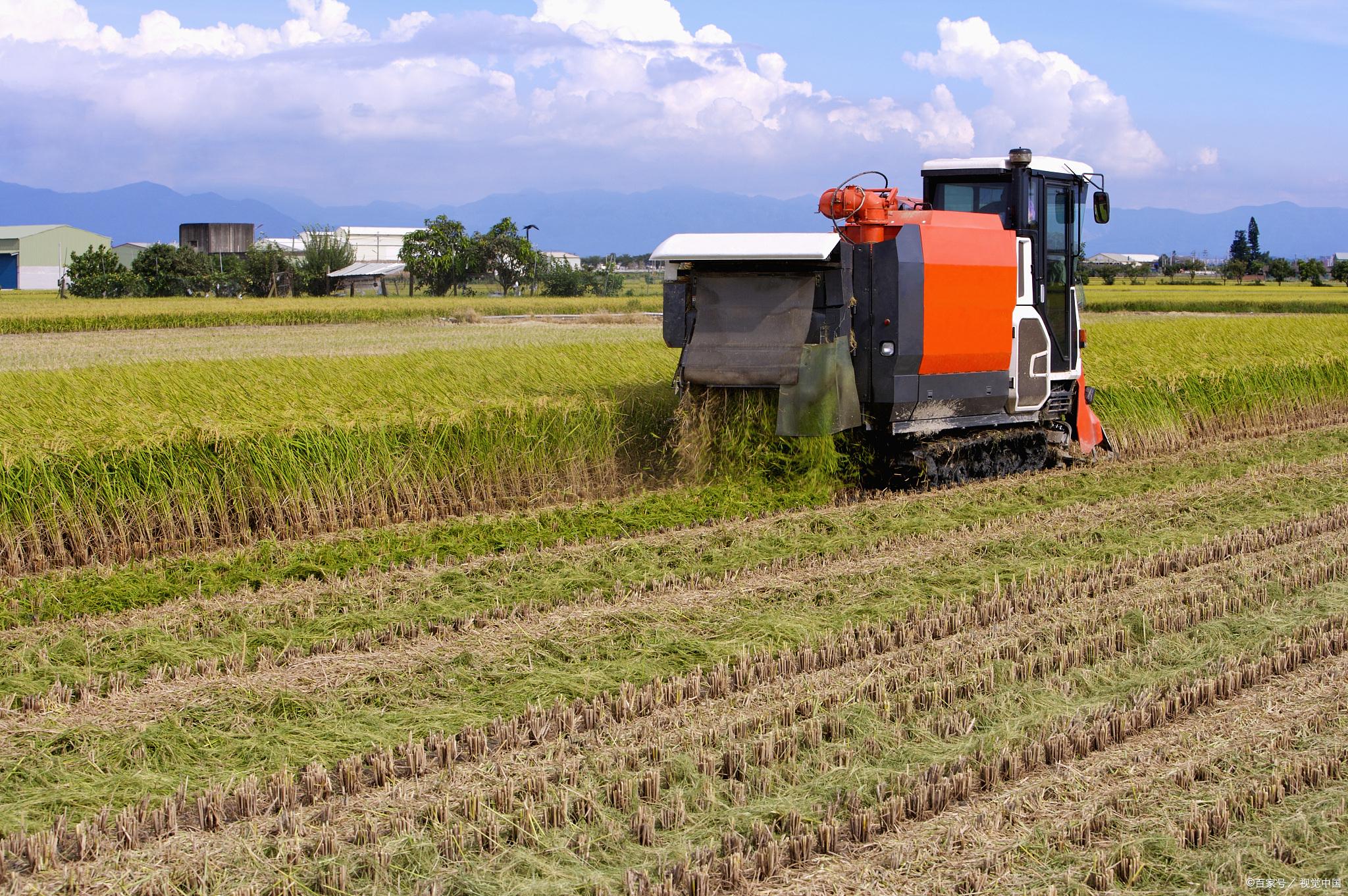 糧食安全戰(zhàn)略引領(lǐng)，A股農(nóng)業(yè)板塊逆市走強(qiáng) 四只潛力黑馬股深度解析